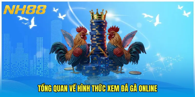 Tổng quan về hình thức xem đá gà online