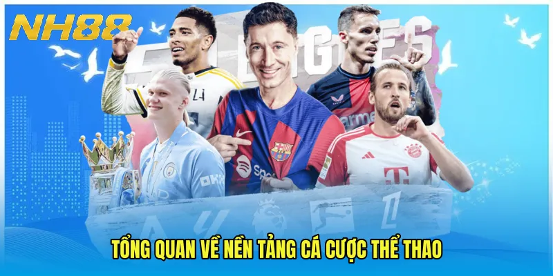 Tổng quan về nền tảng cá cược thể thao